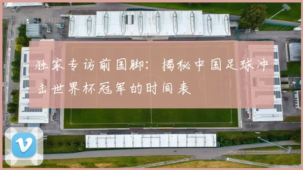 独家专访前国脚:揭秘中国足球冲击世界杯冠军的时间表