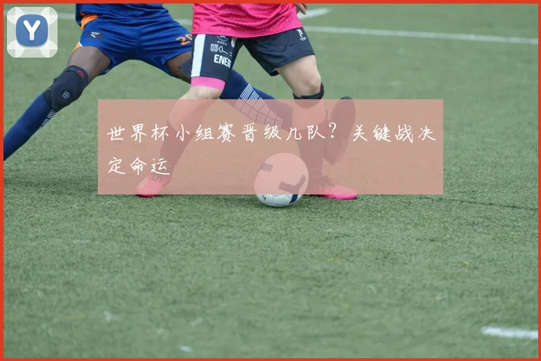 世界杯小组赛晋级几队？关键战决定命运
